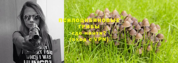 MESCALINE Алзамай
