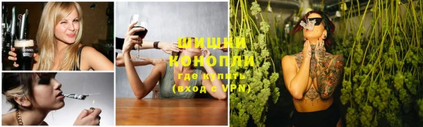 твердый Алексин