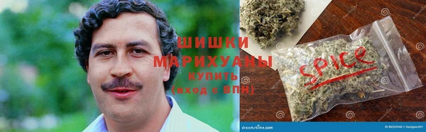 гидра Алексеевка