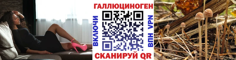 hydra рабочий сайт  Зеленоградск  Галлюциногенные грибы Psilocybine cubensis 